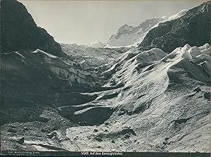 Suisse, Auf dem Gornergletscher