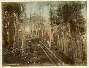 Japon, Stone steps at Nikko