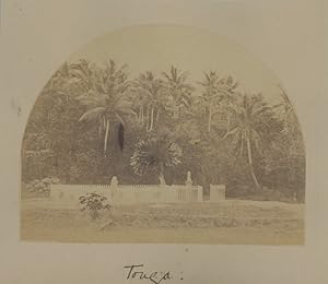 Royaume de Tonga