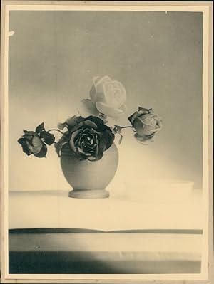Roses, 1930