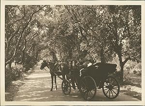 Sicile, Palerme, Femme dans une calèche, ca.1925, vintage silver print