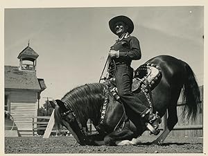 Chevaux champions