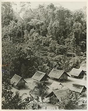 Bougainville, campement