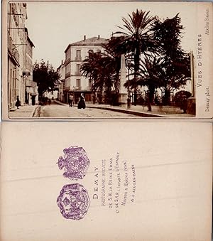 France, Hyères, Obélisque place des Récollets, Palmiers, circa 1870