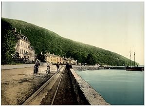 Ireland, Co. Down. Woodside, Rostrevor.