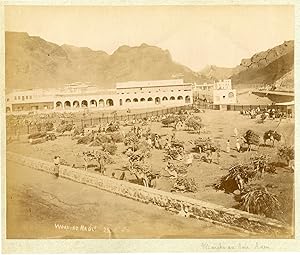 Yemen, Aden, le marché au bois, vue générale