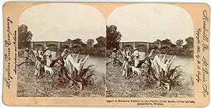 Stereo, Keystone View Company, B. L. Singley, A Mexican Family in the Fields on the Banks of the ...