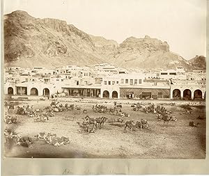 Yemen, Aden, vue sur le marché aux chameaux