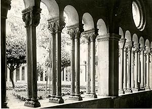 Croatie, Raguse aujourd'hui Dubrovnik, Cloître du monastère franciscain