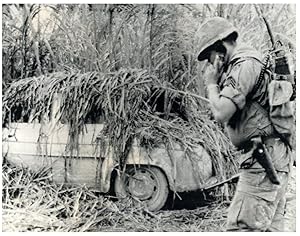 Guerre du Vietnam, 1967