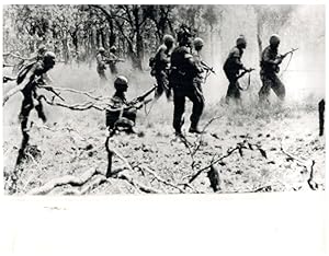 Vietnam, siège de Plei Me, Bataille de La Drang, novembre 1965