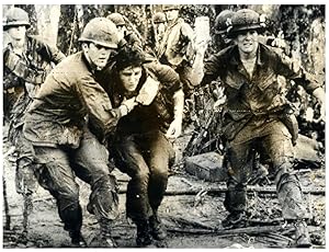 Vietnam, la bataille de Hamburger Hill, mai 1969