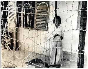 Vietnam, Un enfant derrière les barbelés, août 1964