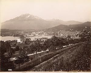 Suisse, Luzern, Lucerne, Lac des Quatre-Cantons, vue panoramique