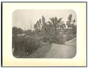 U.S.A., California, Los Angeles, West Lake Park