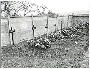 Algérie, Cimetière des soldats inconnus