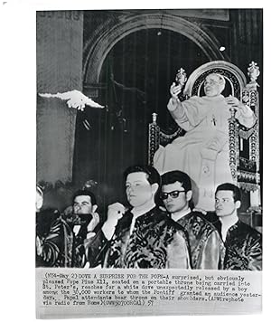 Vatican, Pope Pius XII pleasantly surprised by a dove