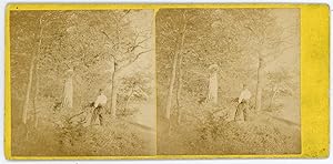 Stereo, Homme ramassant du bois en forêt, circa 1870