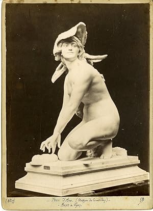 France, Musée de Lyon, Peau d'Âne (Arthur de Gravillon)