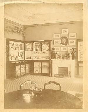 Salon d'un collectionneur, vers 1900