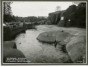 France, Parc zoologique de Vincennes. Rochers des Animaux Marins