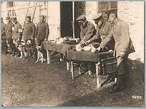 WWI, Un der Westfront. In der Sprechstunde der Stabsveterinäre