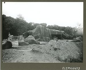 France, Parc zoologique de Vincennes. Eléphants