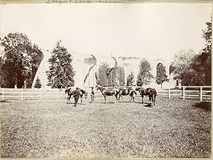 France, Le Marquis E. de Noailles - ambassadeur (à Maintenon)