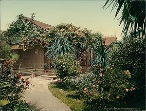 États-Unis, California, Pasadena, Rose-Covered Cottage.