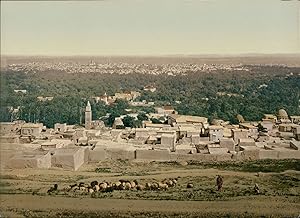 Damas. Vue prise de Salahié