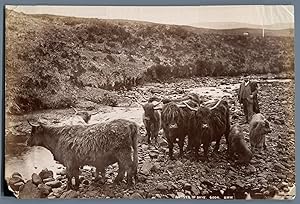 G.W.W., UK, Natives of Skye, Isle of Skye