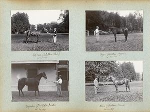 France, Pur sang célèbres - Haras à Noailles et Maintenon