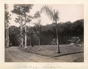 Java, Indonésie, Botanical Garden, jardin botanique