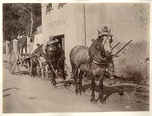 Italia, La campagna