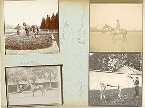 France, Pur sang célèbres - Haras à Noailles et Maintenon