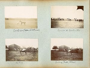 France, Pur sang célèbres - Haras à Noailles et Maintenon