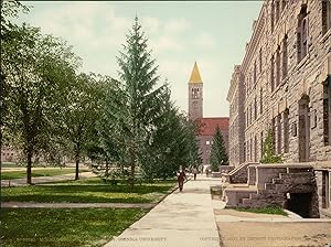 États-Unis, Ithaca, Cornell University, Morill Hall and the Library.