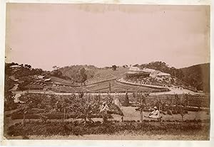 Martinique, à identifier