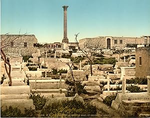 Alexandrie. Cimetière arabe avec la colonne de Pompée.