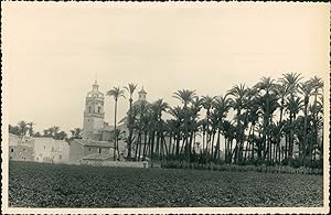 Espagne, Clocher parmi les palmiers, ca.1952, Vintage silver print