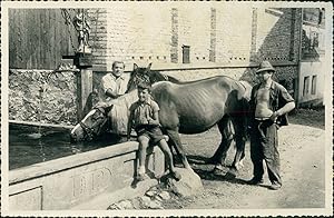 Autriche, Tyrol, Fontaine abreuvoir pour chevaux, 1949, Vintage silver print