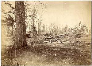 Armand Dandoy, Belgique, Franc-Waret, parc du château dévasté (ouragan de 1876)
