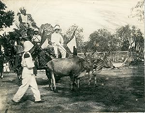 Indochine, Cochinchine, Tay Ninh, Procession avec buffles, 1910, Vintage silver print