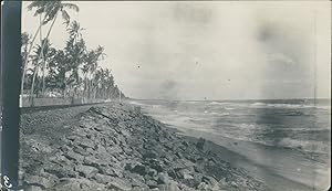 Ceylon, Rochers et palmiers sur la mer, ca.1910, Vintage silver print