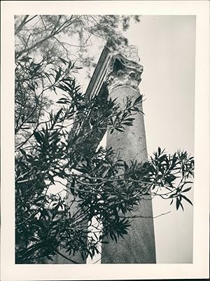 Liban, Byblos, Temple de Reshef, colonnade, 1965, Vintage silver print