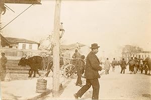 Bulgarie, Varna, passants et attelage à buffle dans une rue, ca.1900, Vintage citrate print