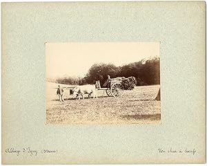 France, Abbaye d'Igny, un char à boeufs