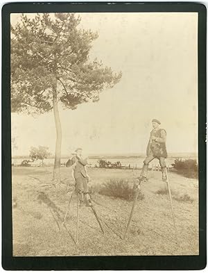 France, Arcachon, échassiers Landais