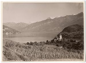 Suisse, Thoune, Thun, le lac, vue générale