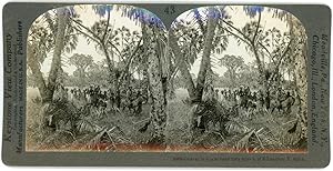 Stereo, Keystone View Company, Underwood & Underwood, Caravan in a palm forest forty miles S. of ...